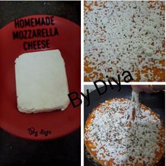 Mozzarella cheese A picture of Mozzarella cheese.