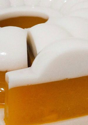 Foto resep Mango Tropical Pudding
