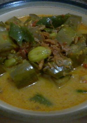Foto resep Lodeh terong ala mak rempong