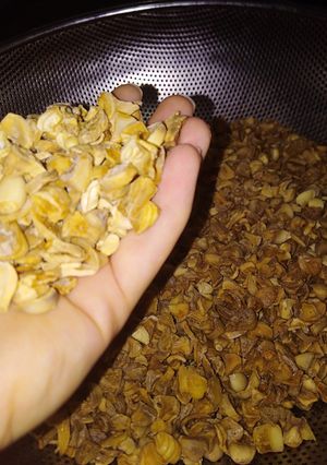 عکسی از دستور سیر خشک 😊