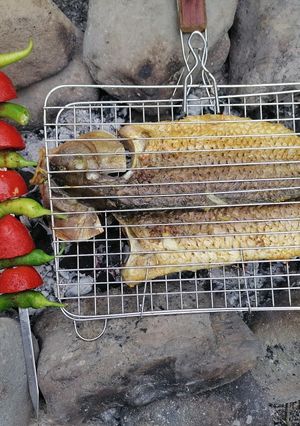 عکسی از دستور ماهی کبابی