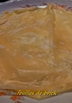 Une photo de Feuilles de brick  au Cook Expert