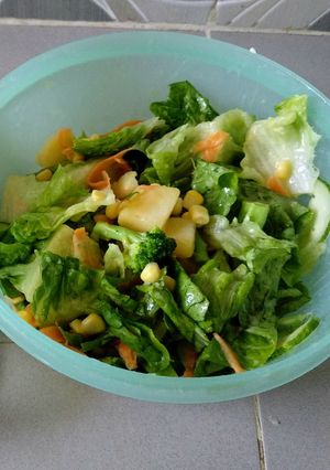 Foto resep Garden Salad