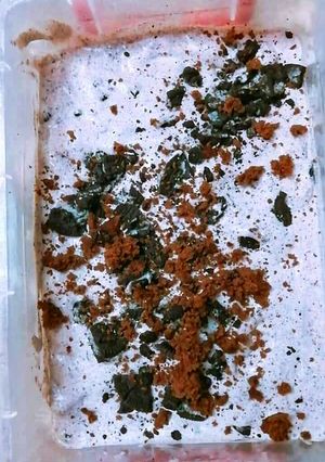 A picture of Oreo ice cream.