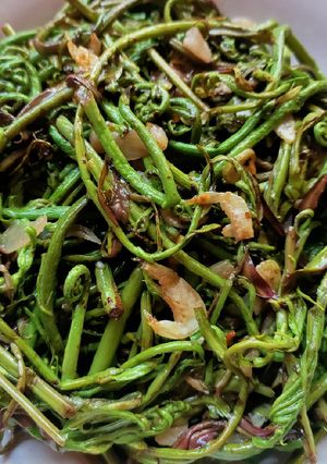 Foto resep Cha Pakis udang rebon