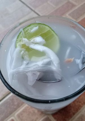 Foto resep Es Degan Segar