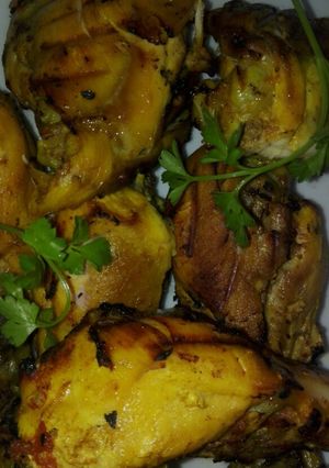عکسی از دستور کباب مرغ