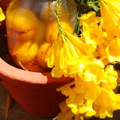 A picture of Sweet Lemon Pickle no oil.