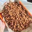 Kacang disco
