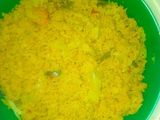 Jollop cuscus