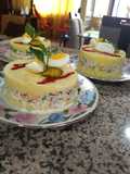 Plato peruano, Causa