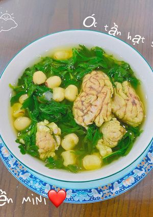 Hình của món Óc Lợn tần hạt sen.