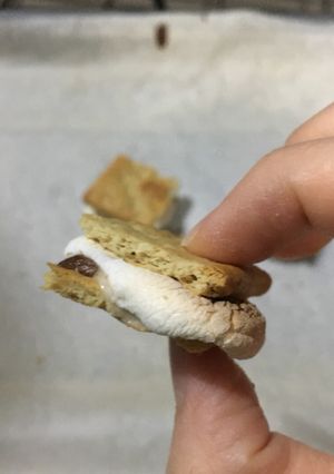 รูปของ Healthier S’mores