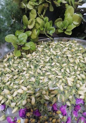 عکسی از دستور خشک کردن گل محمدی وگل و غنچه نسترن