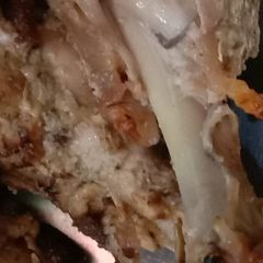A picture of Grilled chicken.