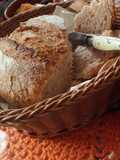 Pan 🍞Dorado 🪙Campestre🌾