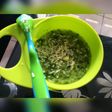 Bubur bayam gurih - MPASI