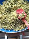 Esquites fritos de Apan Hidalgo