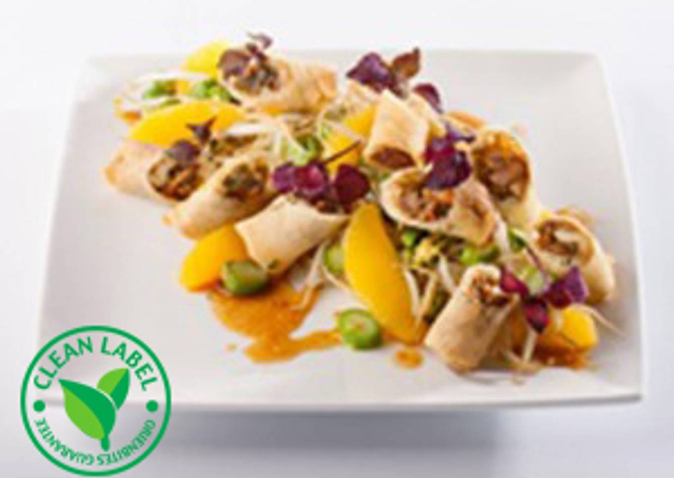 Wok Duck Spring Roll