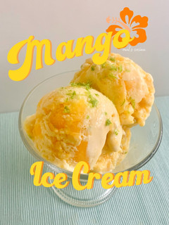 芒果冰淇淋 Mango Ice Cream 的食譜成品照片