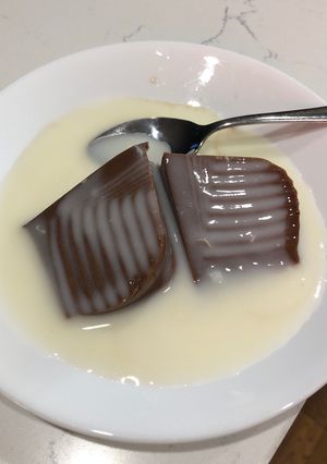 A picture of Chocolate Agar Pudding and sauce (Vla).