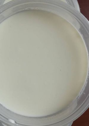 รูปของ อาหารตุรกี Homemade Greek Yogurt