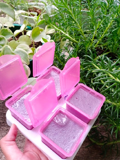 Foto resep Mpasi Puding ubi ungu santan