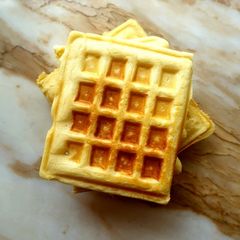A picture of Waffles.