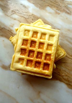 A picture of Waffles.