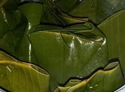 Gambar botok tempe semangit