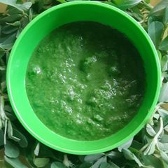 A picture of Methi Chutney.