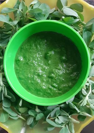 A picture of Methi Chutney.