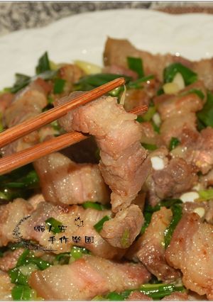 懶人安最愛的巧手哥牌鹹豬肉醃製及料理 的食譜成品照片