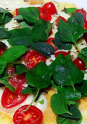 Foto de Omelete fit de pizza de mozzarella