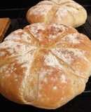 Pan de campo