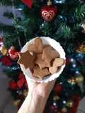 Biscoito de gengibre (gingerbread)