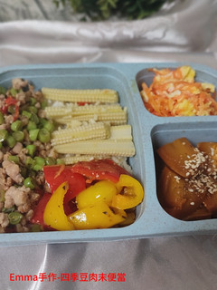 四季豆肉末便當 的食譜成品照片