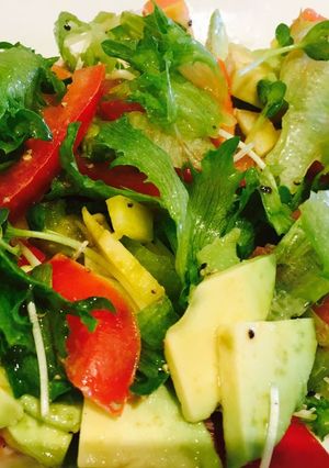 A picture of Go too Salad.