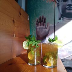 A picture of Mojito.