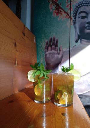 A picture of Mojito.