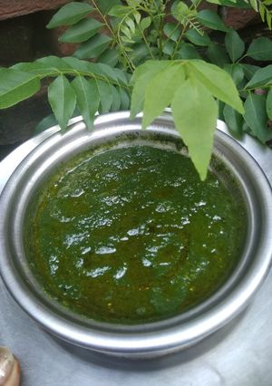 कड़ी पत्ते की चटनी (curry patte ki chutney recipe in Hindi) रेसिपी मुख्य फोटो