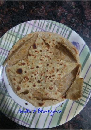 A picture of Namkeen ka parantha.