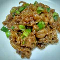 รูปของ Beef ala yoshinoya (versi 1)