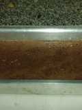 Postre de Maicena y Zucoa