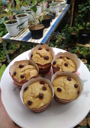 Foto resep Mufffin ubi cilembu