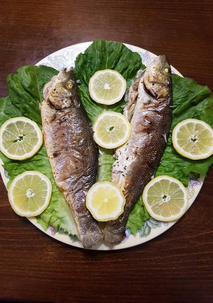 Лавракі (сібас)
