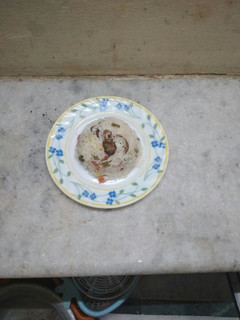 A picture of Veg pulao.
