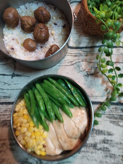 醬燒嫩雞肉時蔬便當 的食譜成品照片