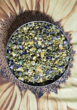 મેક્સિકન સલાડ (Mexican Salad Recipe In Gujarati) રેસીપી મુખ્ય ફોટો