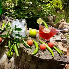 A picture of Watermelon chilli Mojito.